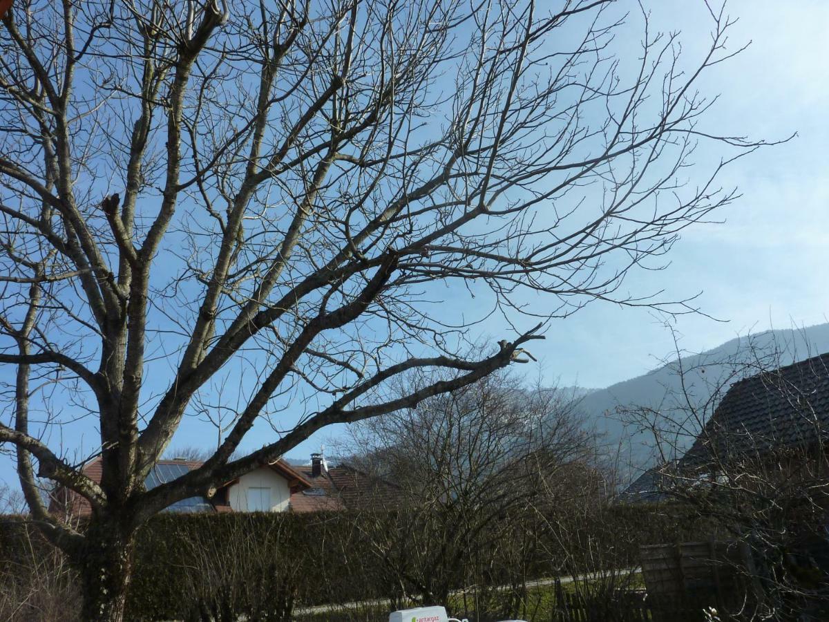 Studio 30 M2 Jardinet 10Minutes Annecy Naves-Parmelan Exterior foto